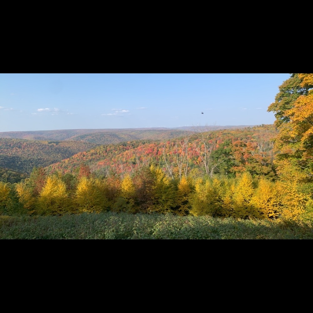 Meet your Posher, Adrianna